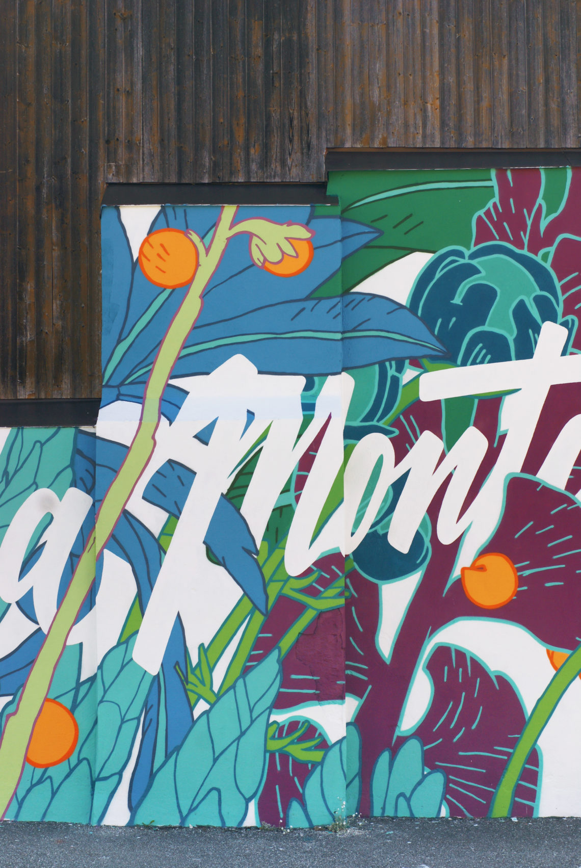 jirai-par-la-montagne-poeme-victor-hugo-lettering-muralism-typographie